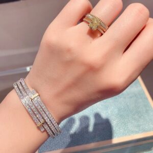 Two Tone 925 Sterling Silver Edge Pave Bangle Jewelry Display